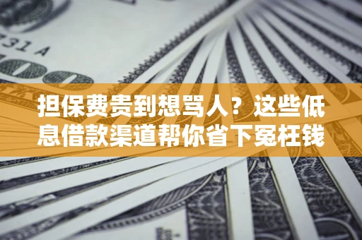 济南担保费贵到想骂人？这些低息借款渠道帮你省下冤枉钱