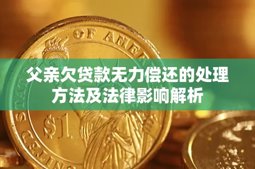 济南父亲欠贷款无力偿还的处理方法及法律影响解析